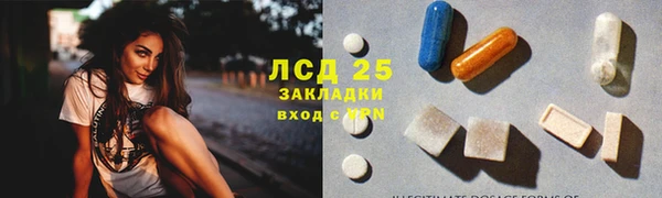 шишки Алексин
