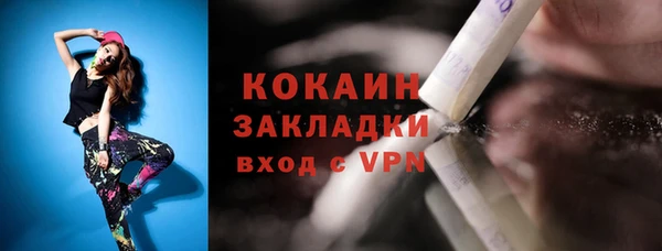 шишки Алексин
