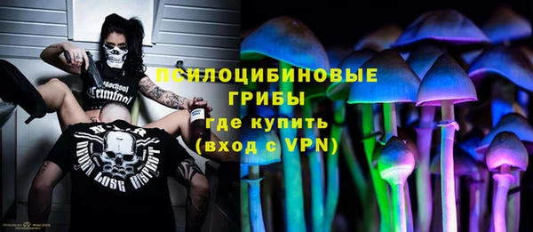 шишки Алексин