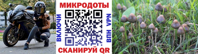 hydra ТОР  хочу наркоту  Абакан  Галлюциногенные грибы прущие грибы 