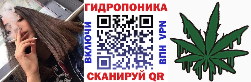 цена   Абакан  Шишки марихуана THC 21% 